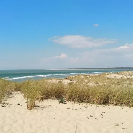 Maison Bord De Mer Vieux Chapus + Dépendance Hébergement de vacances Bourcefranc